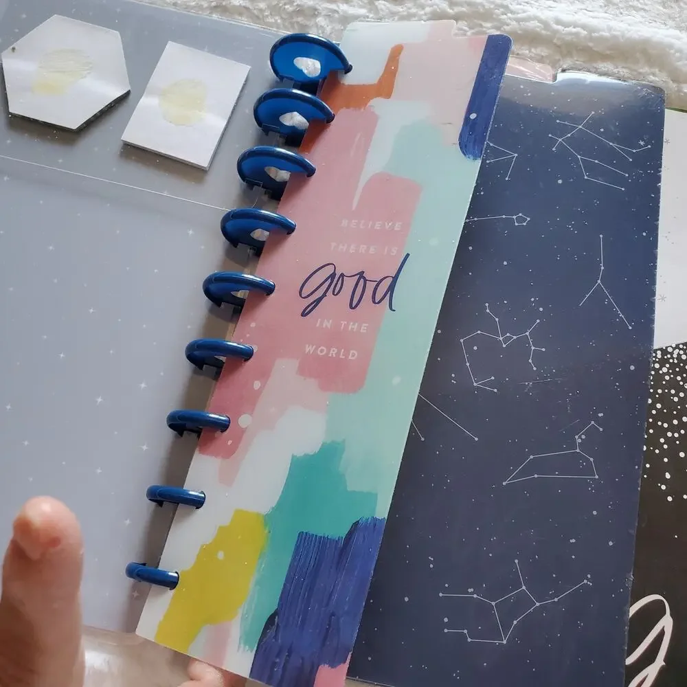 The Happy Planner Disney Princess Classic Covers and Accsry Read Description